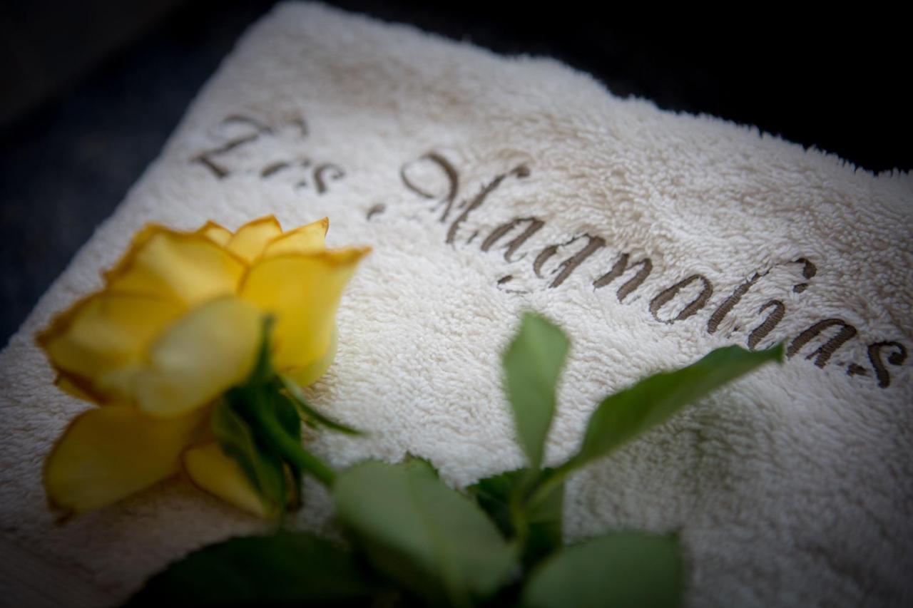 Les Magnolias Holiday Homes Lalinde Eksteriør billede